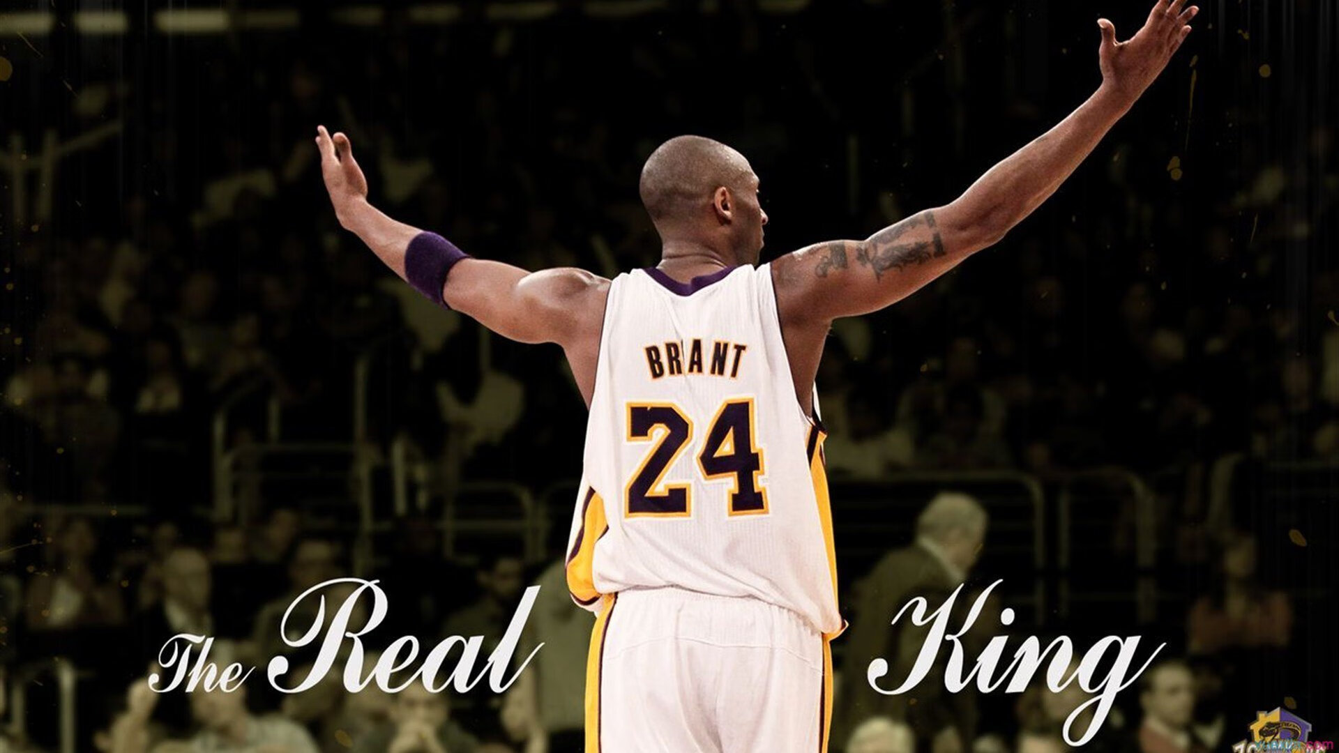 北京鸭加强团队配合提高场上默契