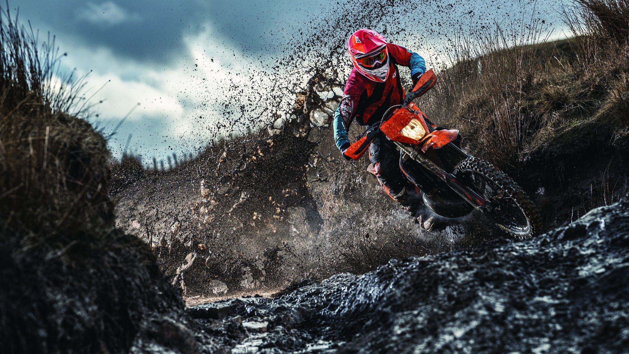 利物浦在欧冠赛场逐步推进，冲击更高荣誉