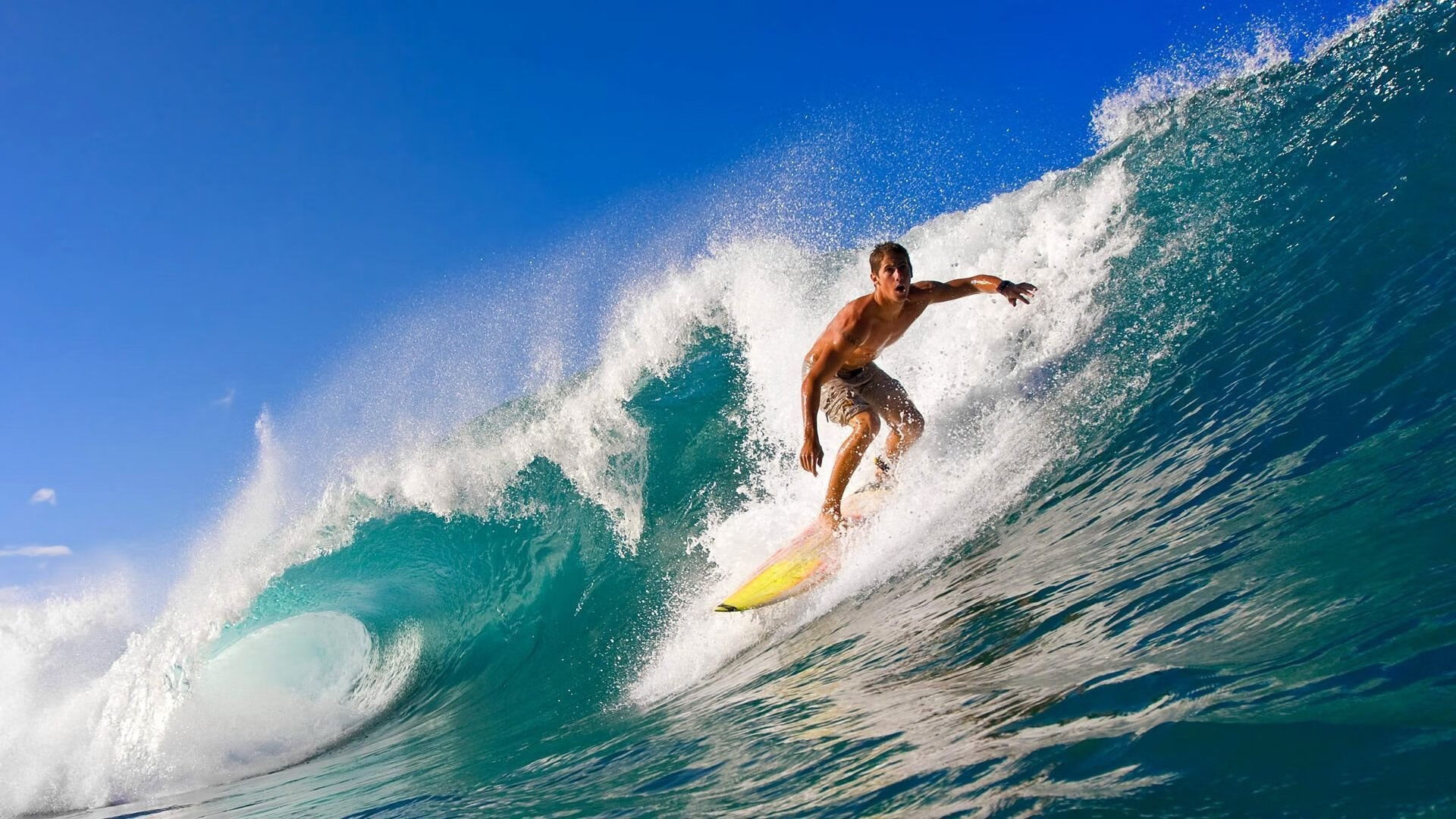 星空体育-中巡赛2024赛季圆满收官，金子豪表现亮眼，中巡赛总决赛